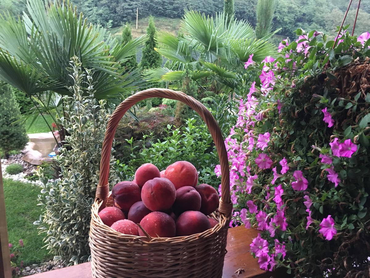 Garni San Paolo Hotell Appiano Sulla Strada Del Vino Eksteriør bilde