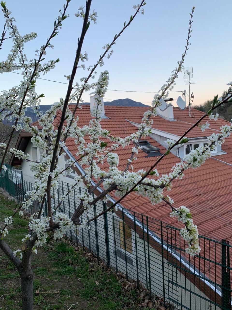 Garni San Paolo Hotell Appiano Sulla Strada Del Vino Eksteriør bilde