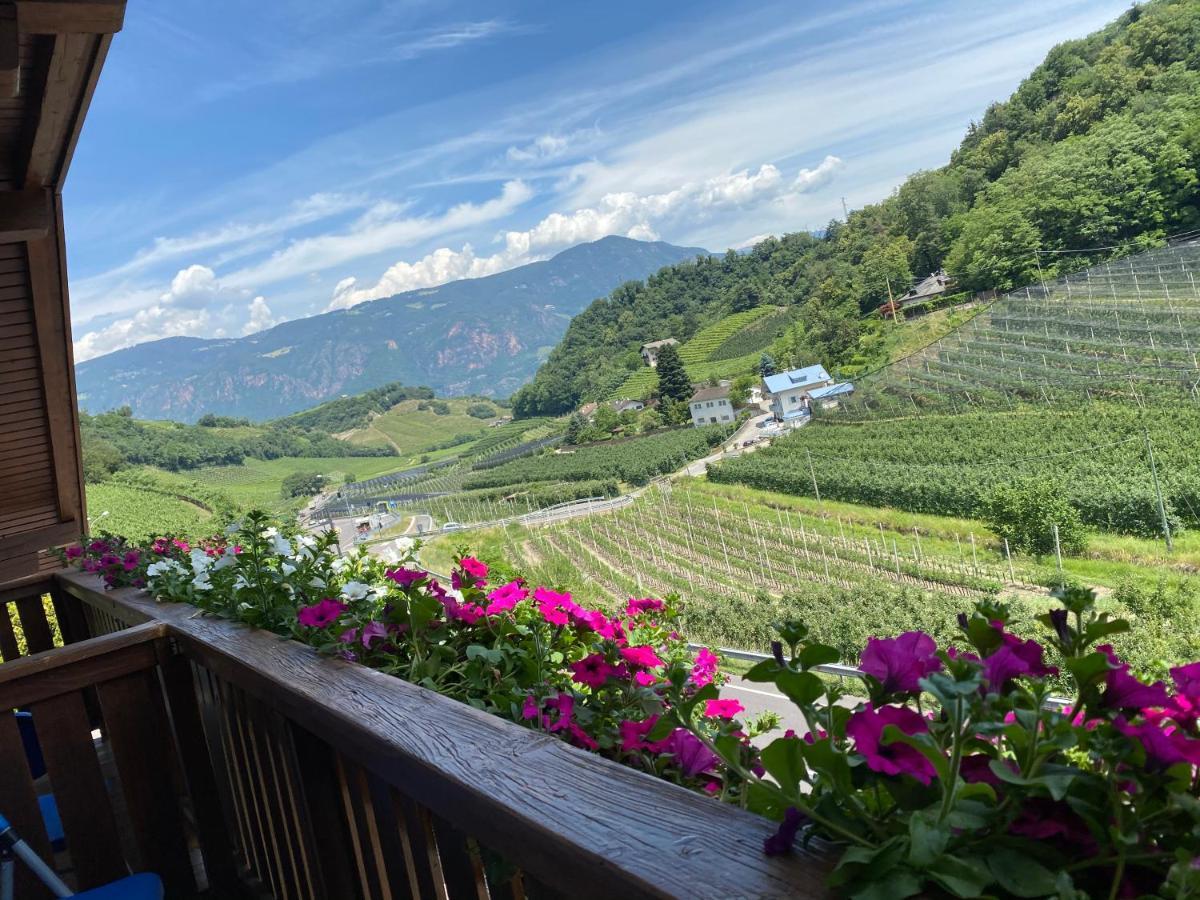 Garni San Paolo Hotell Appiano Sulla Strada Del Vino Eksteriør bilde